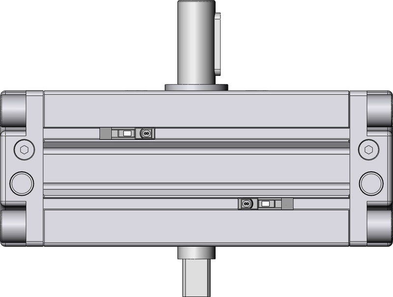 SMC CDRA1BW50-100CZ-M9BAVL