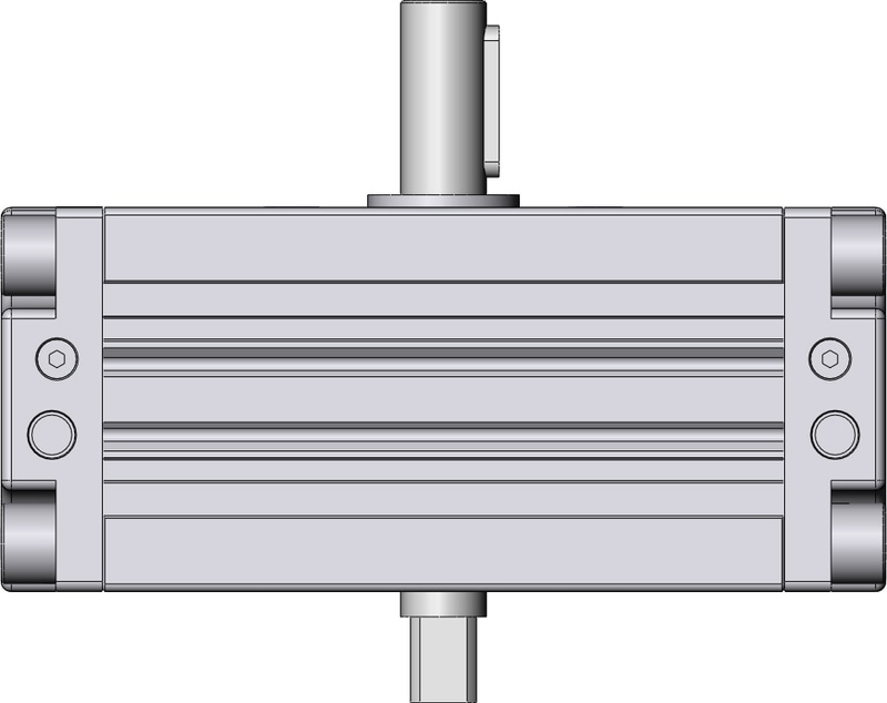 SMC CDRA1BW63-100CZ