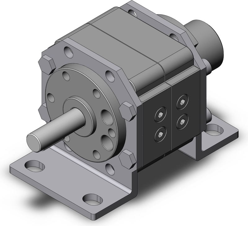 SMC CDRB1LW50-100DE