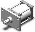 CDS2F140-125-M9BV