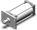 CDS2F160-300-M9NL