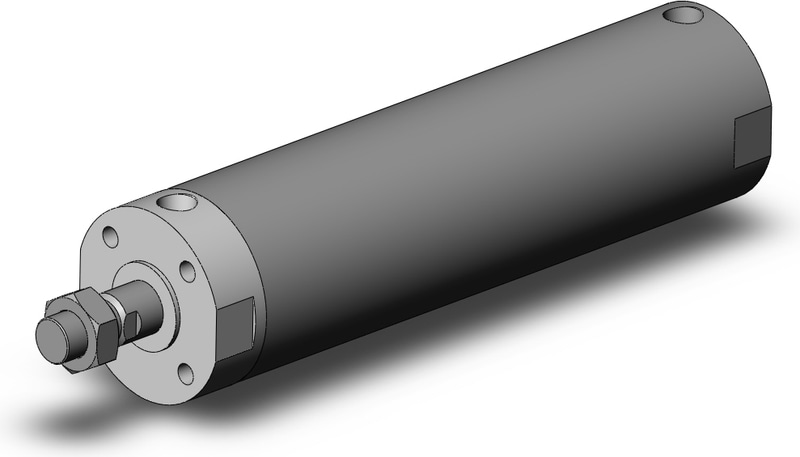 SMC CG1BN100-300Z