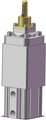 CKQGB32-085RAL-X2081
