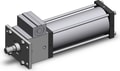 CLSF250TN-600N-D