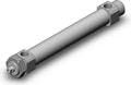 CM2B20-100FZ