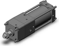 CNA2B100TF-100-D