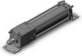 CNA2L80-250-D