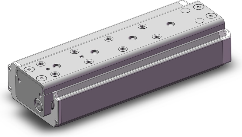 SMC LES25RAK-100S-R36P3D