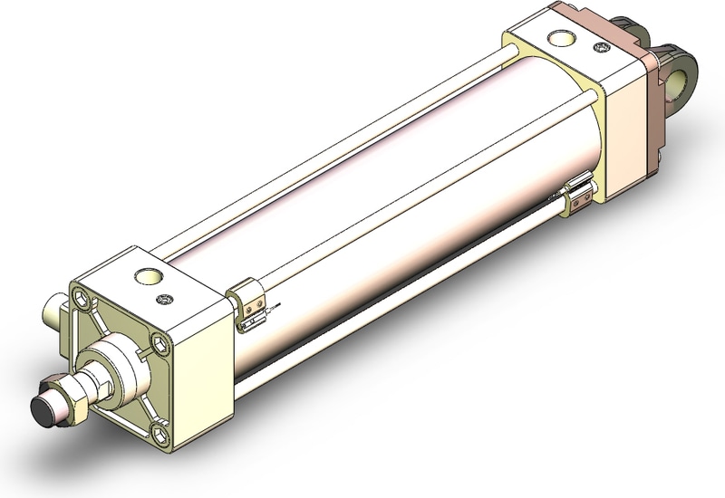 SMC MDBBD80-300-RL-M9BWL