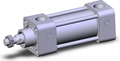 NCA1B150-0150-XC22