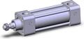 NCA1B150-0250-XC6