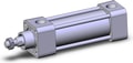 NCA1B150-0250N