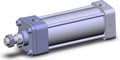 NCA1B250-0450-XB5