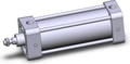 NCA1B250-0500-X130US