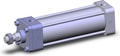 NCA1B250-0600-XB5