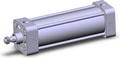 NCA1B250-0600-XC22
