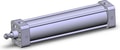 NCA1B250-1000-XC6