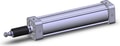 NCA1B250-1000J