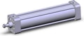 NCA1B250-1000N