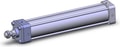 NCA1B250-1200-XB5