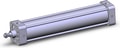 NCA1B250-1200-XC22