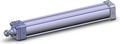 NCA1B250-1600-XB5