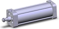 NCA1B400-1000-XC22