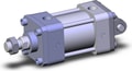 NCA1D250-0100-XB5