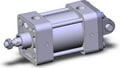 NCA1D250-0100