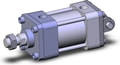 NCA1D250-0100N-XB5