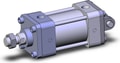 NCA1D250-0150-XB5