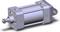 NCA1D250-0200-XC22