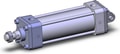NCA1D250-0500-XB5
