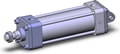 NCA1D250-0500H-XB5