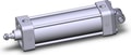 NCA1D250-0600-X130US