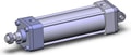 NCA1D250-0600N-XB5