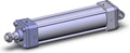 NCA1D250-0800-XB5