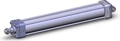 NCA1D250-1600-XB5