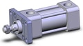 NCA1F150-0100N