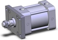 NCA1F325-0150