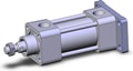 NCA1G150-0100N