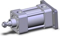 NCA1G200-0100N-XC6