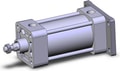 NCA1G250-0250N