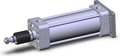 NCA1G250-0500K