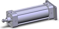 NCA1G250-0600