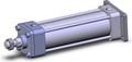 NCA1G250-0600N-XB5