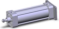 NCA1G250-0600N