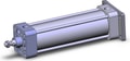 NCA1G250-0700N-XC35