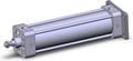 NCA1G250-0800