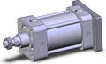 NCA1G325-0250